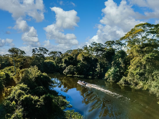Projeto de sustentabilidade realizado no Amazonas vence prémio na COP 28