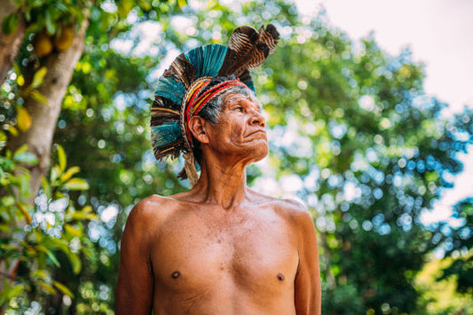 Marco temporal e como pode prejudicar  a sustentabilidade da Amazónia